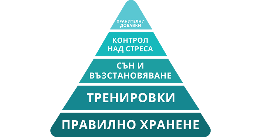 пирамида на покачването на мускулна маса