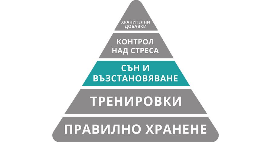 сън и възстановяване