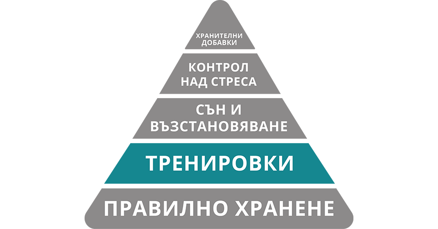 тренировки