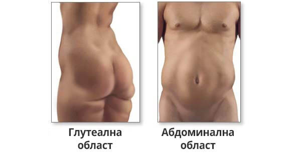 упорити мазнини